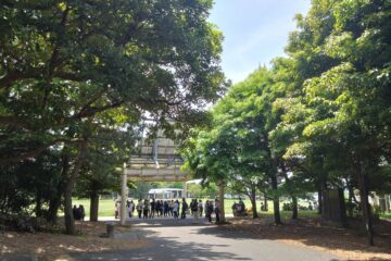 お台場は思ったよりも自然が多い場所でした