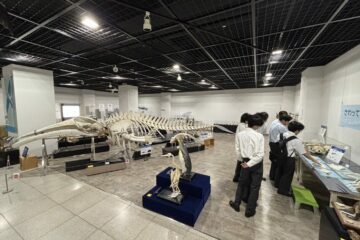生物資源科学部では博物館を見学しました