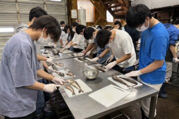 苦戦しながらも頑張ってホッケを捌きます！